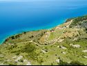 Дома дял отдыха Smokovlje - sea view and vineyard H(4) Бол - Остров Брач  - Хорватия - детали (дом и окружение)