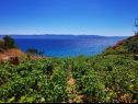 Дома дял отдыха Smokovlje - sea view and vineyard H(4) Бол - Остров Брач  - Хорватия - вид (дом и окружение)
