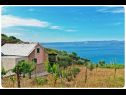 Дома дял отдыха Smokovlje - sea view and vineyard H(4) Бол - Остров Брач  - Хорватия - H(4): дом