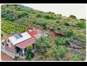 Дома дял отдыха Smokovlje - sea view and vineyard H(4) Бол - Остров Брач  - Хорватия - детали (дом и окружение)