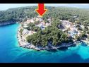 Апартаменты Deni - 70m from beach: A1(4+1) Залив Осибова (Милна) - Остров Брач  - Хорватия - Апартамент - A1(4+1): дом