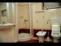Апартаменты DeMar - 70m from sea: A1-crveni(4), A2-zeleni(3), A3-plavi(3) Сплитска - Остров Брач  - Апартамент - A1-crveni(4): ванная комната с туалетом