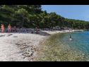Дома дял отдыха Jelka - 50 m from beach: H(10+2) Округ Доньи - Остров Чиово  - Хорватия - пляж