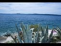 Апартаменты Daniela - terrace with amazing sea view A1(6) Округ Горни - Остров Чиово  - пляж