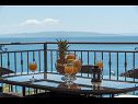 Апартаменты Daniela - terrace with amazing sea view A1(6) Округ Горни - Остров Чиово  - дом