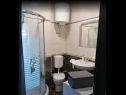 Апартаменты Antea - private parking & garden: A1(4) Чилипи - Ривьера Дубровник  - Апартамент - A1(4): ванная комната с туалетом