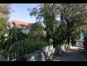 Апартаменты Marija - 50m close to the beach: A1(2+2), SA2(2+1) Затон (Дубровник) - Ривьера Дубровник  - озеленение (дом и окружение)