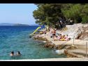 Дома дял отдыха Nature park - relaxing and comfortable: H(4) Телашћица - Дуги остров  - Хорватия - пляж