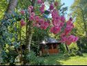 Дома дял отдыха Riverside house - beautiful nature: H(6) Жунберак - Континентальная Хорватия - Хорватия - цветы