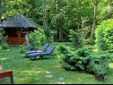 Дома дял отдыха Riverside house - beautiful nature: H(6) Жунберак - Континентальная Хорватия - Хорватия - растительность