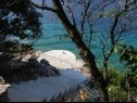 Дома дял отдыха Vers - 35m from the sea: H(4+2) Залив Пичена (Вела Лука) - Остров Корчула  - Хорватия - пляж