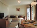 Апартаменты Smilja - 150 m from pebble beach: A1(2+2), A2(2+1), SA3(2) Башка Вода - Ривьера Макарска  - Апартамент - A1(2+2): гостиная