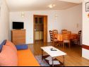 Апартаменты Biljana - 150m from beach: A1(2+1), A2(2+2), A3(5), A4(2+2) Градац - Ривьера Макарска  - Апартамент - A4(2+2): гостиная