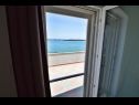 Апартаменты Denko - right on the beach: A1(7), SA2(2), SA3(2) Бетина - Остров Муртер  - Апартамент - A1(7): вид с окна