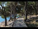 Дома дял отдыха Ante - close to the sea: H(8+2) Тисно - Остров Муртер  - Хорватия - дорожки для ходьбы