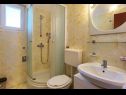 Апартаменты Lasan - 150 m from sea: A1(4), A2(4) Водице - Шибеник Ривьера  - Апартамент - A1(4): ванная комната с туалетом