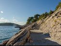 Дома дял отдыха Ani - 30 m from beach : H(4+1) Маслиница - Остров Шолта  - Хорватия - пляж
