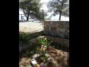 Дома дял отдыха More - sea view: H(2) Маслиница - Остров Шолта  - Хорватия - детали