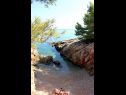 Дома дял отдыха Villa Ante - with pool: H(6) Рогач - Остров Шолта  - Хорватия - пляж