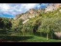 Дома дял отдыха Jasna - big garden: H(4+2) Сриане - Ривьера Сплит  - Хорватия - детали