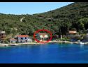 Апартаменты Roki - 10 m from beach: A1(6+2) Veliki, A2(2+2) Mali Залив Рогачич (Вис) - Остров Вис  - Хорватия - растительность (дом и окружение)