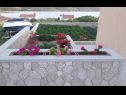 Апартаменты Adriatic - with beautiful garden: A1(2), A2(2), A3(2+2) Ртина - Задар Ривьера  - Цветочный палисадник