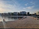 Апартаменты Mare - 20 m from beach: A1(4+4), A2(2+2), A3(2+2) Сукошан - Задар Ривьера  - пляж