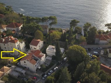 Апартаменты и комнаты  Andri - 100m from sea: A1 Andrea(2+2), A2 Nika(2) Дубровник - Ривьера Дубровник 