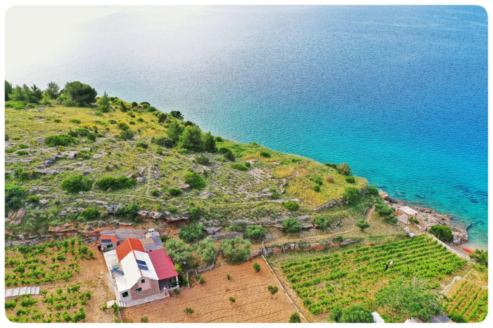 Дома дял отдыха Smokovlje - sea view and vineyard H(4) Бол - Остров Брач  - Хорватия
