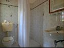 Апартаменты Brane - 150m from sea: A1(2+1), SA2(3), SA3(3), SA4(2), SA5(2), A6(2+1) Бол - Остров Брач  - ванная комната с туалетом