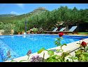Дома дял отдыха Vojo - private swimming pool: H(4) Бол - Остров Брач  - Хорватия - дом