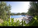 Дома дял отдыха Vojo - private swimming pool: H(4) Бол - Остров Брач  - Хорватия - вид (дом и окружение)