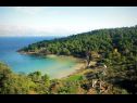Дома дял отдыха Lidija - Robinson House: H(2+2) Залив Ловречина (Постира) - Остров Брач  - Хорватия - пляж