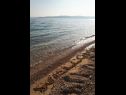 Дома дял отдыха Gari - 5 m from sea: H(4+2) Милна (Брач) - Остров Брач  - Хорватия - пляж