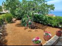 Дома дял отдыха Lumos - panoramic view & olive garden: H(10) Постира - Остров Брач  - Хорватия - сад
