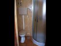Апартаменты Vig - 60 m from beach: A1(5), A2(4) Повлья - Остров Брач  - Апартамент - A2(4): ванная комната с туалетом