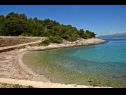 Дома дял отдыха Branko - large terrace : H(2) Залив Вела Лозна (Постира) - Остров Брач  - Хорватия - пляж