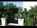 Апартаменты Anda - sea view: B1(4), B2(4), C(4+1) Мастринка - Остров Чиово  - озеленение (дом и окружение)