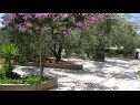 Апартаменты Ljuba - nice garden: A2(4+1) Plavi, A4(8+1), A1(2+2) Округ Горни - Остров Чиово  - Цветочный палисадник (дом и окружение)