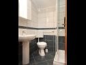 Апартаменты Rud - 15 m from sea: A1(2+1), A2(2+1), A3(2+1) Лумбарда - Остров Корчула  - Апартамент - A3(2+1): ванная комната с туалетом
