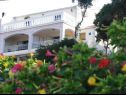 Апартаменты Dijana - 20m from the sea A1 Antica(4+1), A2 Diana(2+1), A3 Mirela(2+1) Приградица - Остров Корчула  - дом