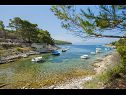 Дома дял отдыха Villa Bistrana - 15m from sea: H(4) Залив Танкараца (Вела Лука) - Остров Корчула  - Хорватия - пляж
