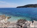 Дома дял отдыха Villa Bistrana - 15m from sea: H(4) Залив Танкараца (Вела Лука) - Остров Корчула  - Хорватия - пляж