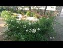 Апартаменты Dorica - flower garden A1(4) Крк - Остров Крк  - сад
