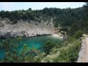 Дома дял отдыха Bernardica - on cliffs above sea: H(6+2) Врбник - Остров Крк  - Хорватия - растительность