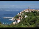 Дома дял отдыха Bernardica - on cliffs above sea: H(6+2) Врбник - Остров Крк  - Хорватия - растительность