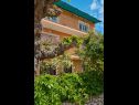 Апартаменты Giuseppe - green terrace: A1(4) Мали Лошинь - Остров Лошинь  - дом