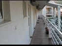 Апартаменты Boro - sea view SA1(3), SA2(3), SA3(3) Дуги Рат - Ривьера Омиш  - терраса
