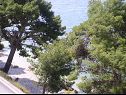 Апартаменты Milica - sea view : A1(2+2), A2(2+2) Крило-Есенице  - Ривьера Омиш  - пляж