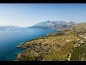 Дома дял отдыха Jak - sea view: H(4) Оребич - Полуостров Пельешац  - Хорватия - растительность